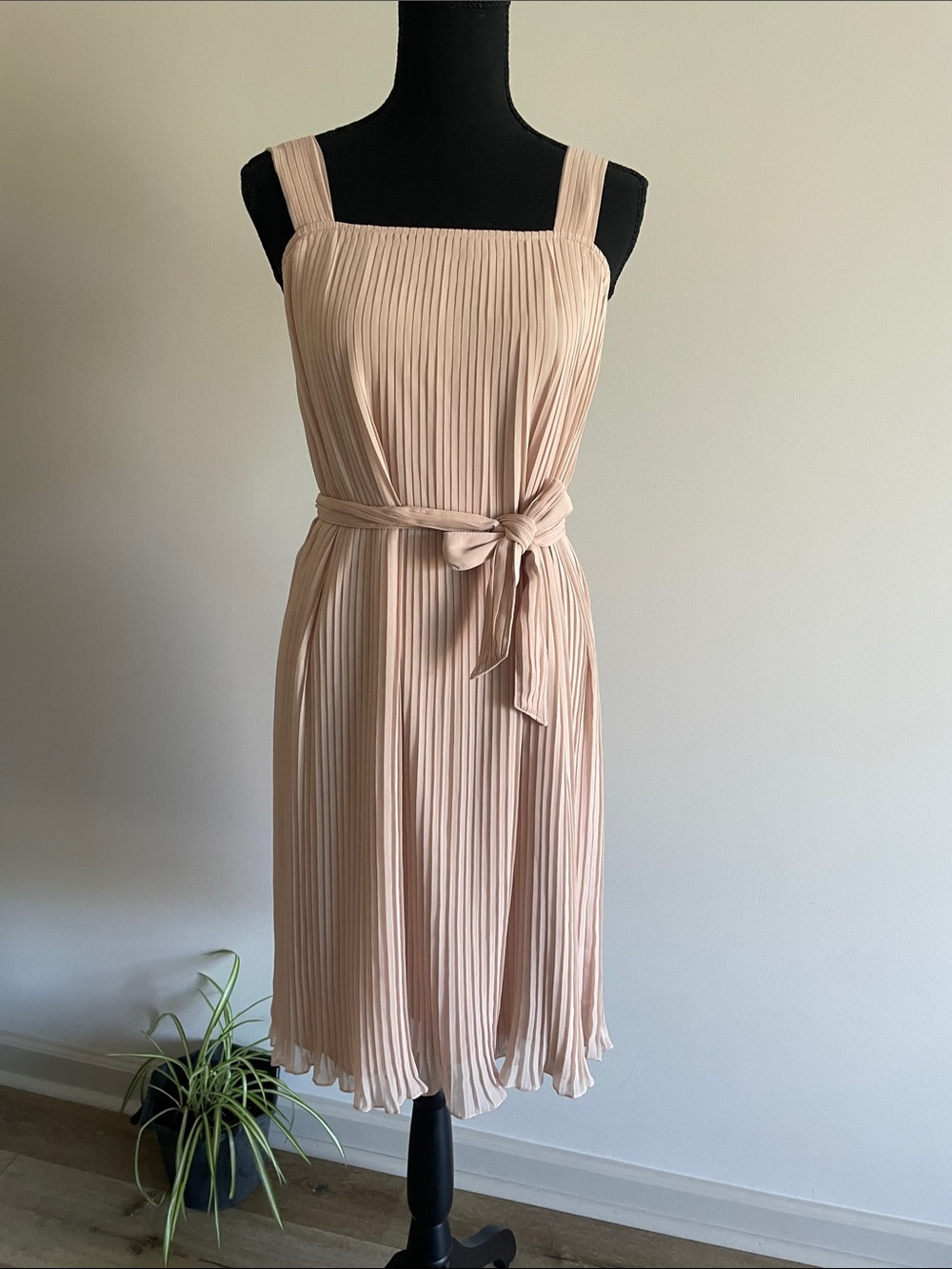 Zara Pleated Midi Dress Sz S